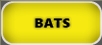 Verminators Bat Removal Gainesville
